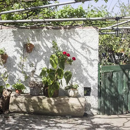 Canary House Icod de los Vinos