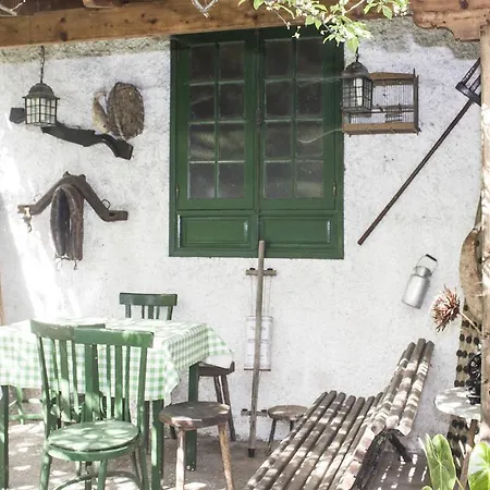 Canary House Icod de los Vinos