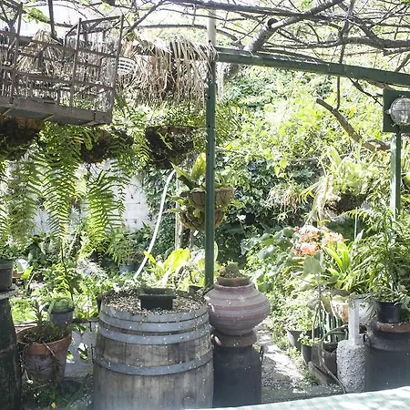 Nyaraló Canary House *