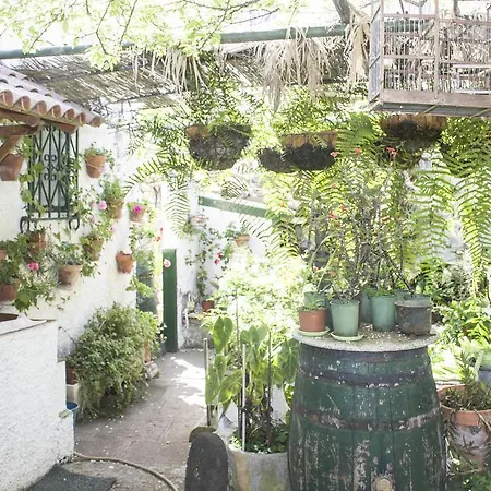 Σπίτι διακοπών Canary House Icod De Los Vinos
